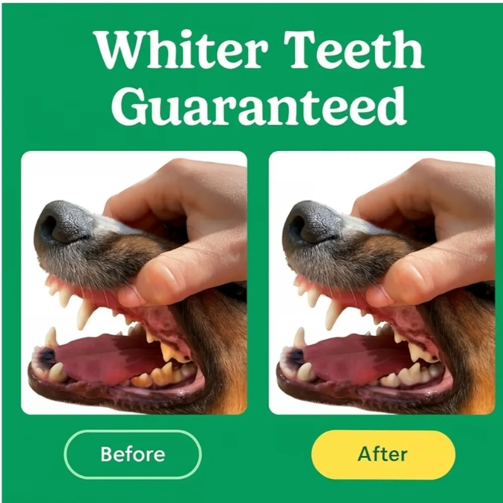 Dog Teeth Cleaning Kit